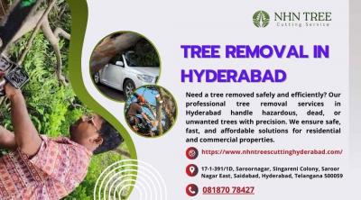 Tree Removal In Hyderabad - Hyderabad Other