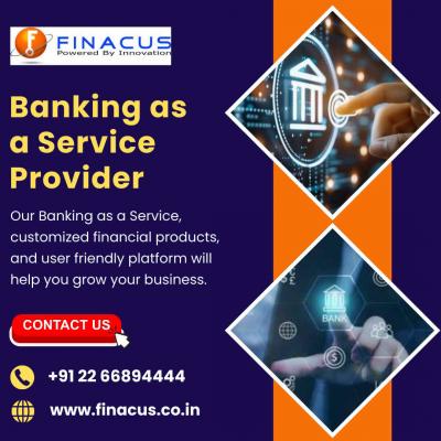 Banking as a Service Provider - Mumbai Other