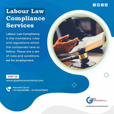 Labour Laws Compliance Services Noida - Delhi Professional Services