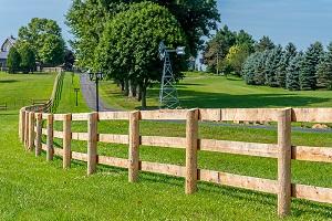 Fence Building Companies Near London Ontario - London Other