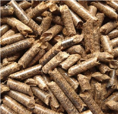 Biomass Wood Pellet Exporter