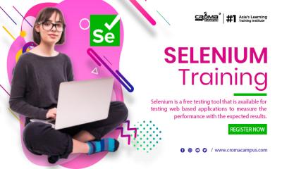 Selenium Training in Delhi