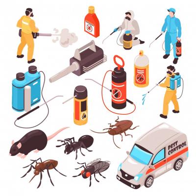 Why Pest Control Services Mumbai Are Essential for Every Home!  