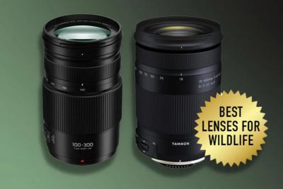 Power of DSLR Camera Lenses | Tamron India