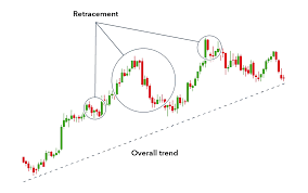 The Best MT5 Forex Brokers in Pakistan: A Comprehensive Guide