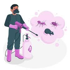 Cockroach Pest Control in Mumbai - Mumbai Other