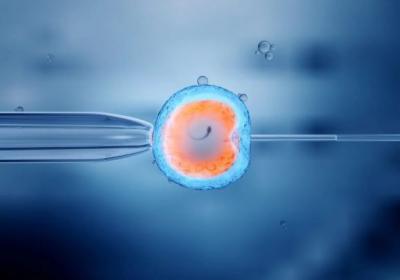 The Best IVF Center in Kolkata - Kolkata Other