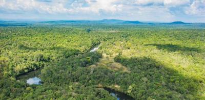 Bush Regeneration and Ecological Restoration - Sydney Other