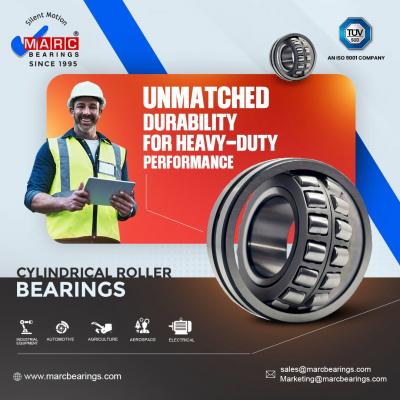 Cylindrical Roller Bearings Manufacturer - Gujarat Other