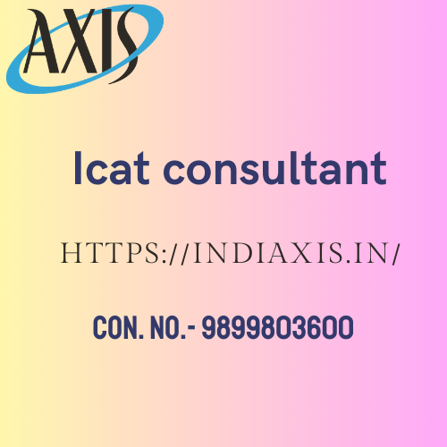 Icat consultant - Delhi Other