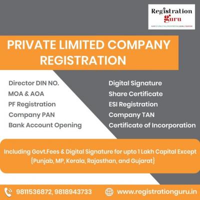 Private Limited Company Registration - Delhi Other