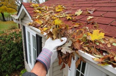 Gutter Cleaning & Repairs Blacktown - Sydney Other