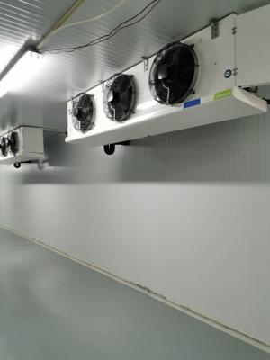 COLDROOM FREEZER CHILLER - Abu Dhabi Other