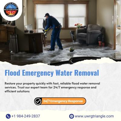 Flood emergency water removal Hillsborough - Other Other