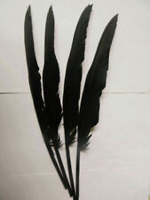 15Pcs Black Raven Feather Decor Handmade Crafts DIY Costume Cosplay Accessories