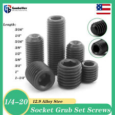 1/4 - 20 Grub Screws Cup Point Allen Socket Sets Black 12.9 Alloy Steel DIN 916 - Ontario - US