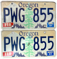 Vintage 1991 Oregon Auto License Plate Set Garage Man Cave Auto Decor Collector