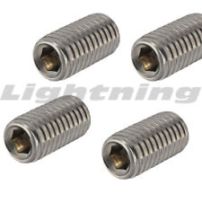 Socket Set Screws Stainless Steel 1/4-20 x 1/4 Qty 1000 - West Hempstead - US"