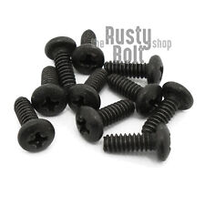 #4-40 x 5/16, Phillips Pan Head Screws, Stainless Steel, Black Oxide - Lawrenceville - US"