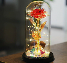 ETERNAL ROSE IN GLASS GIFT FOR YOUR LOVED ON VALENTINE'S DAY WITH LED LIGHTS