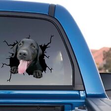 Labrador Retriever Sticker Black Lab Decal Window Car Gifts Warning Automotive