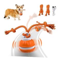 Peppy Pet Ball for Dogs, Dog Interactive Toys Dog Ball,Motion Activate - Long Island City - US