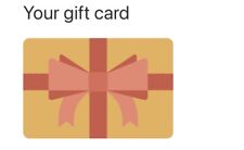 Gift Card For promGirl ($228)