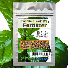 FIDDLE FIG Fertilizer - 8 Month Slow Release Fiddle Leaf Fig Food by PowerGrow