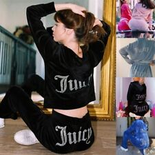 Women 2 Piece Zipper Hoodies Sweatshirt and Pants Faux Velvet Suit Jewelry