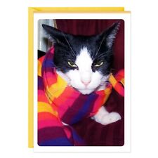 Funny HAPPY BIRTHDAY Card, Cat Scarf Useless Gift" by Hallmark + Envelope"