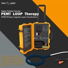 Pro PEMF Magneto Horse Health Care Equine PMST LOOP Magnetic Therapy Device - 荔湾区 - CN