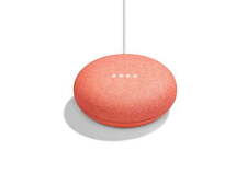 Google Home Mini - Coral - Opa Locka - US