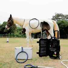 Horse Health Care Physiotherapy Machine PMST LOOP For Pain Relief Animal Use - CN