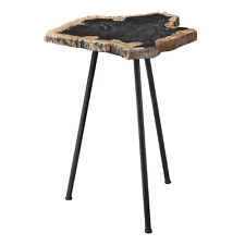 Elegant Minimalist Natural Petrified Wood Accent Table Stone Slab Black Tripod - US