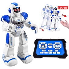 Smart RC Robot Rechargeable Gesture Sensing Programmable Remote Control Kids Toy - Buena Park - US