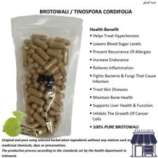 100-500 Capsules Tinospora Cordifolia 600mg Blood Bone Liver Health NO CHEMICALS - Toronto - Canada