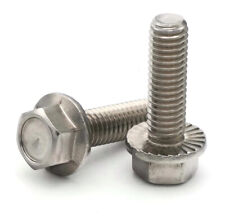 Flange Bolts Serrated Hex Flange Bolts 18-8 Stainless Steel #10-24 Select Length - Sayreville - US