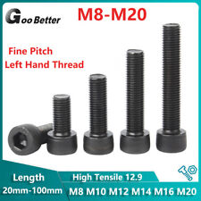 Left Hand Thread Fine Pitch Allen Bolt Socket Cap Screw 12.9 M8 M10 M12M14M16M20 - CN