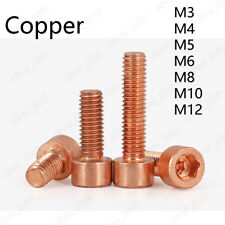 99.9% Pure Copper Cu Allen Bolt Hex Socket Cap Head Screws M3 M4 M5 M6 M8 M10 - CN