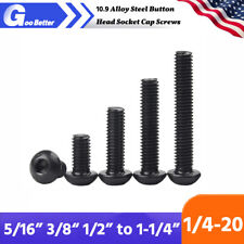 1/4-20 Button Head Socket Cap Screws,10.9 Alloy Steel/Black Oxide SAE 5/16 to 1 - Ontario - US"