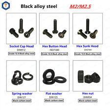 M2/M2.5 Alloy Steel Allen Hex Socket Head,Button Head,Sunk Head Screw,Nut,Washer - CN