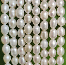 White Rice Oval Freshwater Loose Pearls Craft Beads for Jewellery Making 6-7mm