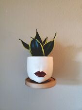 Set of 2 Wooden 6 Diameter Floating Plant Shelves, Nightstands Handmade in USA - Toronto - Canada"