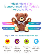 Smart Teddy Interactive Educational Toy , 35+ Learning Activities - Santa Cruz - US