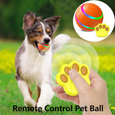 Peppy Pet Ball for Dogs with Remote Control Interactive Dog Ball Toy LED Flash - Houston - US