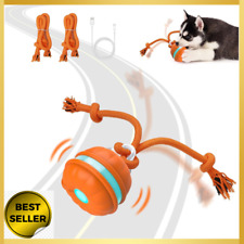 Interactive Dog Toys, Motion Activated Dog Ball, Automatic Rolling Ball Toys ... - CN