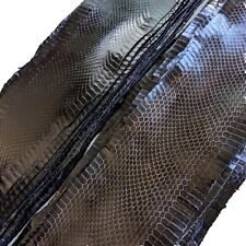 A lot of Two Real Snakeskins Snake Skins Leathers Hides Glossy Black Dk Brown