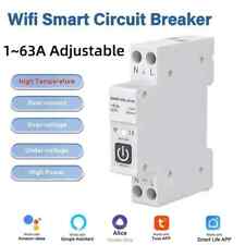 Tuya smart wifi Circuit Breaker on Din Track with 1-63A Watt-hour Meter - CN