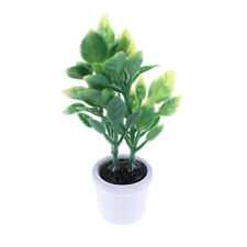 1:12 Miniatura green plant dollhouse decoration furniture DIY accessori#km