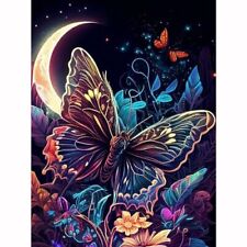 Diamond 12X16 IN【Full Tools + Accessories】 Butterfly in the Moonlit Night